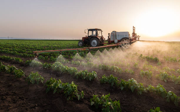 Best Mosquito Control Services  in East York, PA