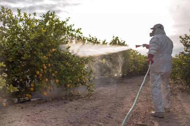 Best Affordable Pest Control Services  in East York, PA