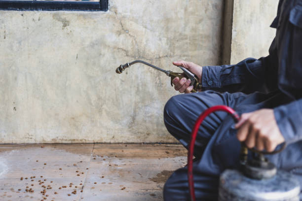 Best Emergency Pest Control  in East York, PA