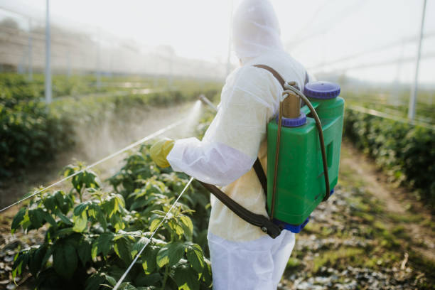 Best Pest Prevention Services  in East York, PA